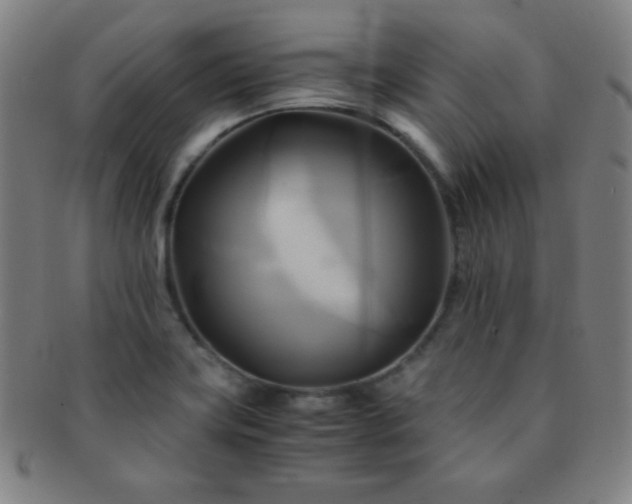 X0000091501419200708231434