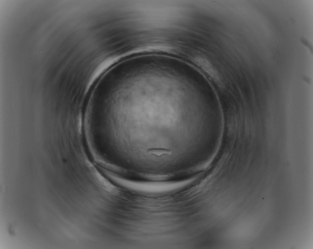 X0000091501420200708231434