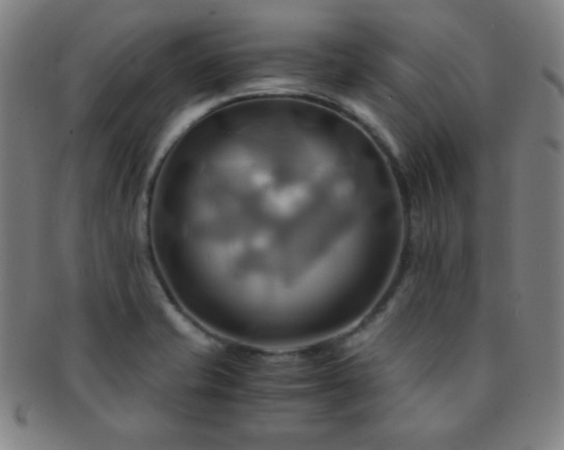 X0000091501421200708231434