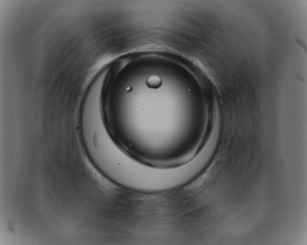 X0000091501422200708231434
