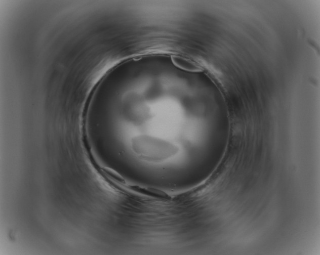 X0000091501423200708231434