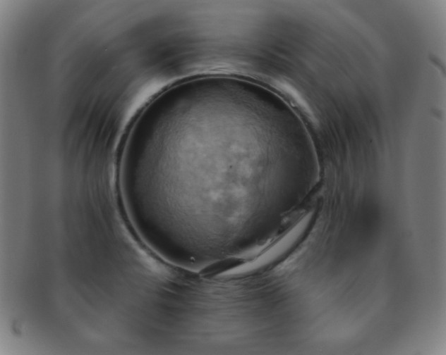 X0000091501424200708231434