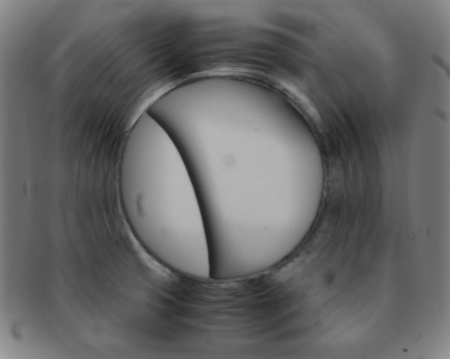 X0000091501425200708231435