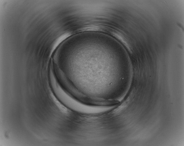 X0000091501426200708231435