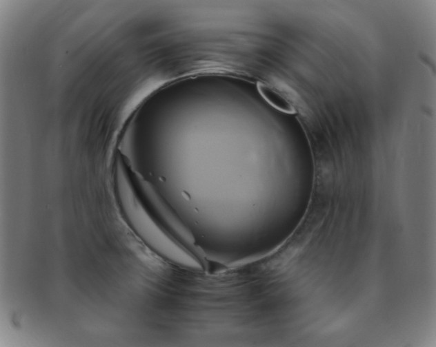 X0000091501427200708231435