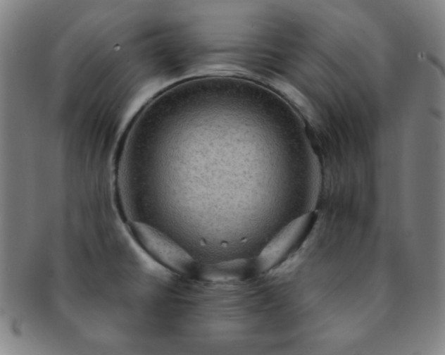 X0000091501430200708231435