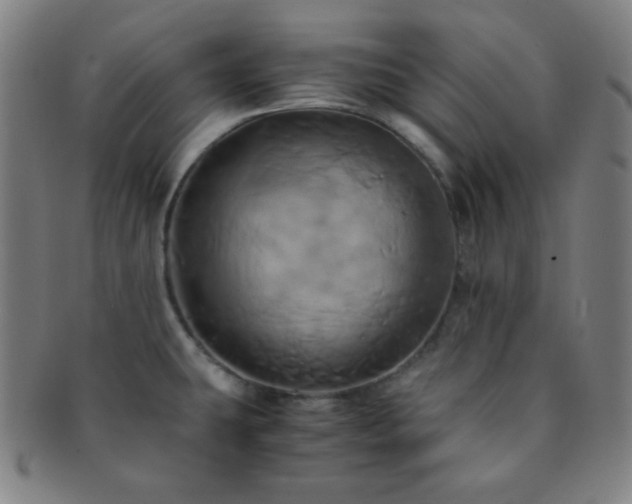 X0000091501431200708231435