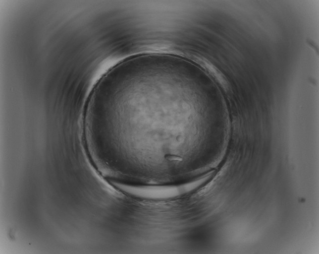 X0000091501432200708231435