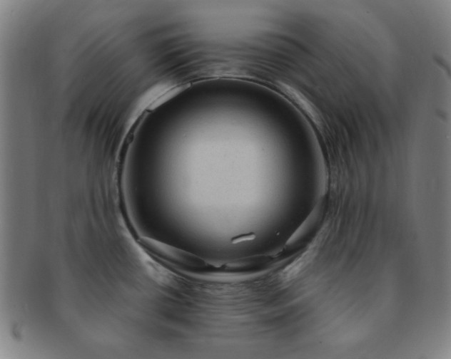 X0000091501434200708231435