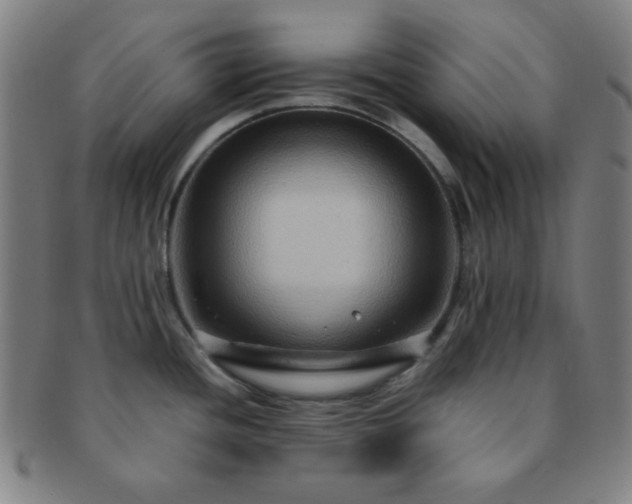 X0000091501436200708231435