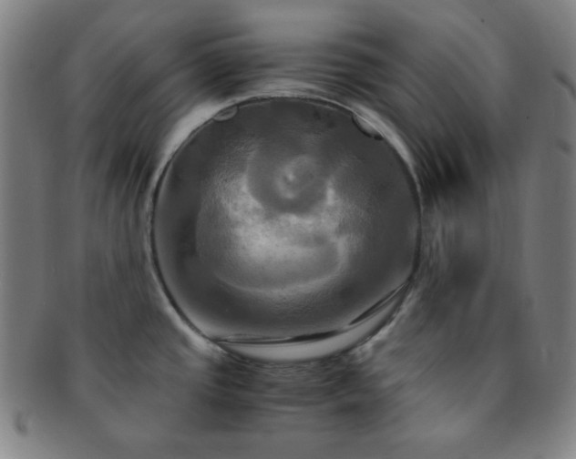 X0000091501437200708231435