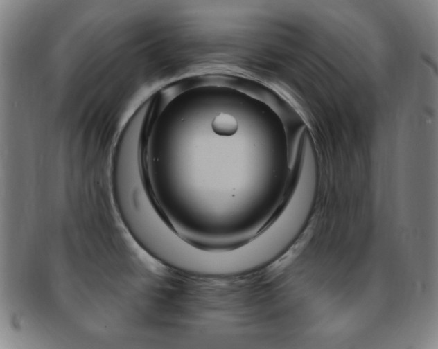 X0000091501438200708231435