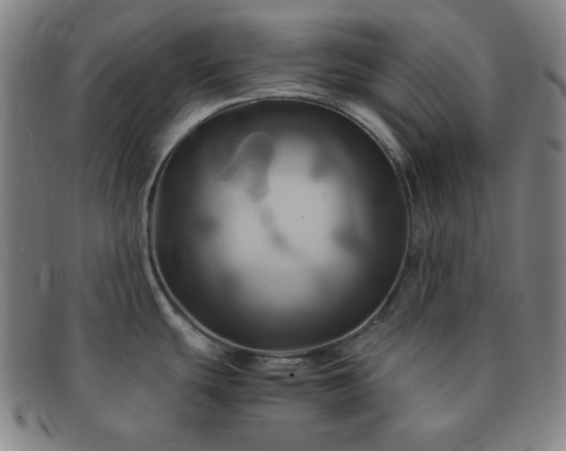 X0000091501439200708231435