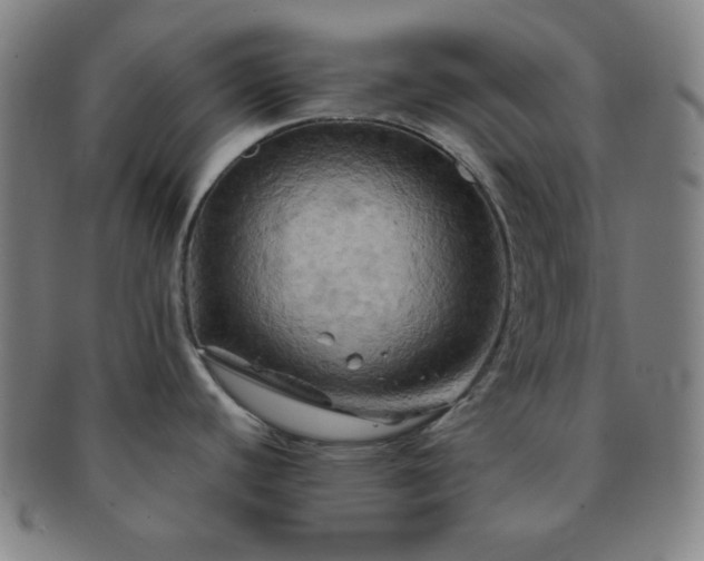 X0000091501440200708231435