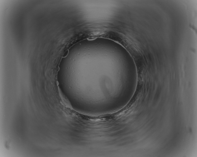 X0000091501441200708231434