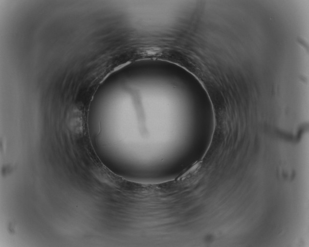 X0000091501442200708231434