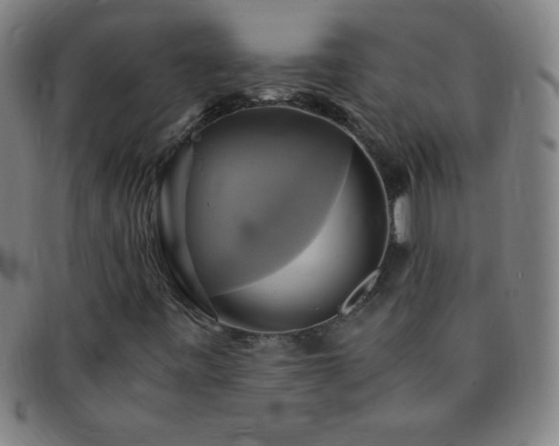 X0000091501443200708231434