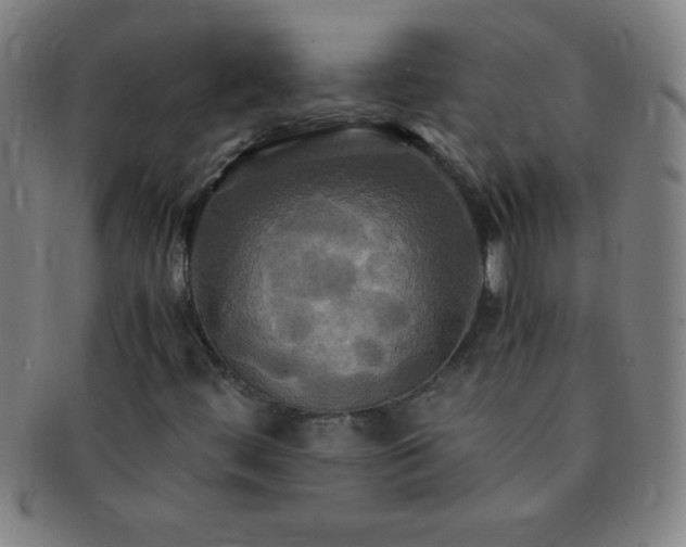 X0000091501444200708231434