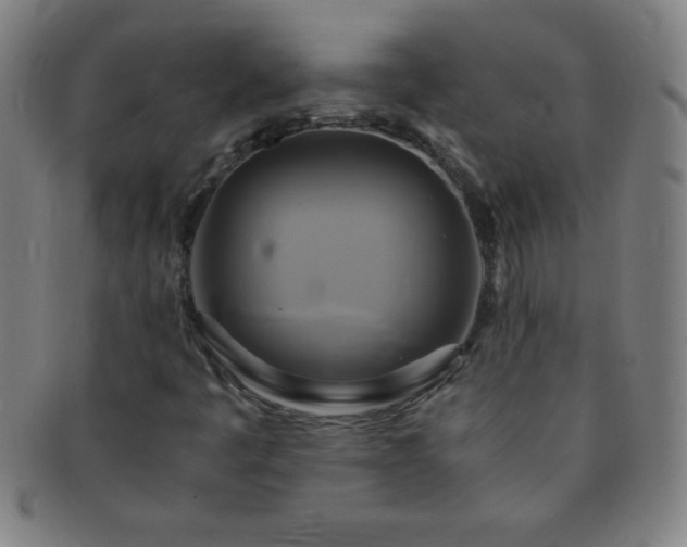 X0000091501445200708231434