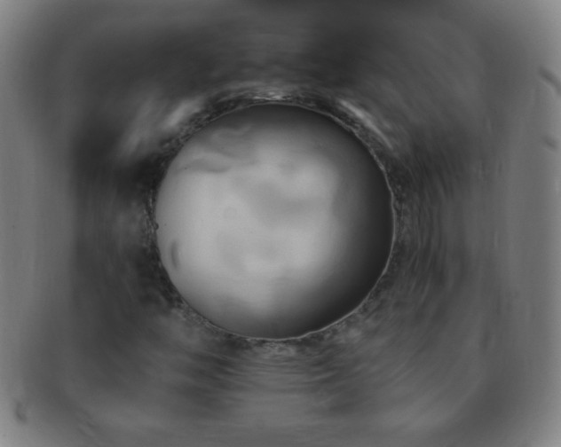X0000091501446200708231434
