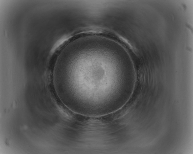 X0000091501448200708231434