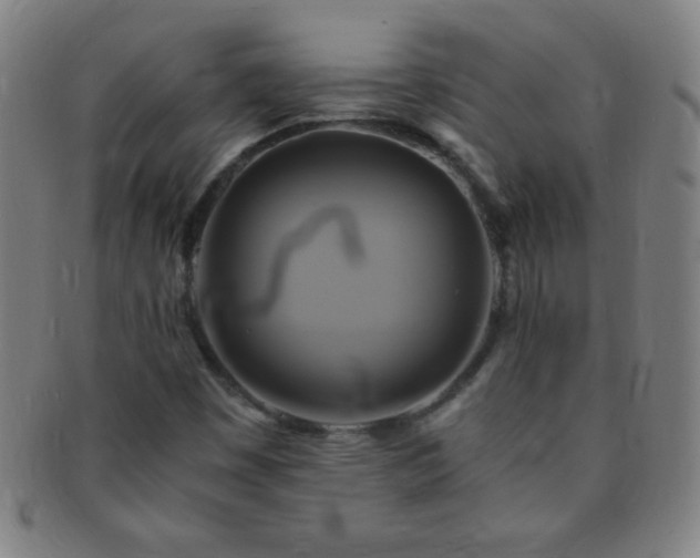 X0000091501449200708231434