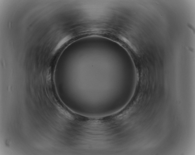 X0000091501450200708231434