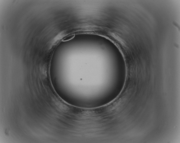 X0000091501451200708231434