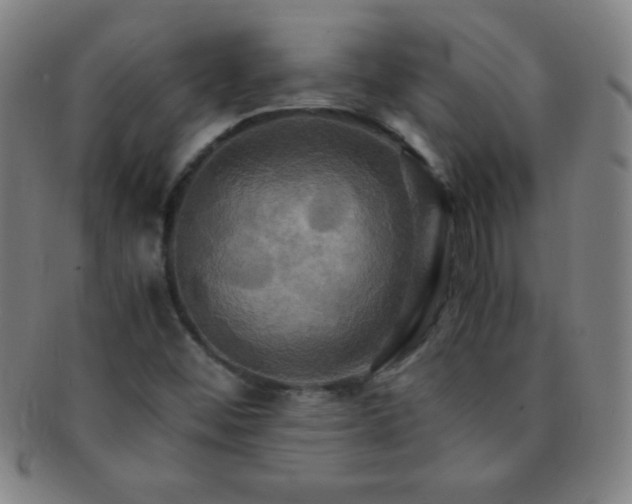 X0000091501452200708231434