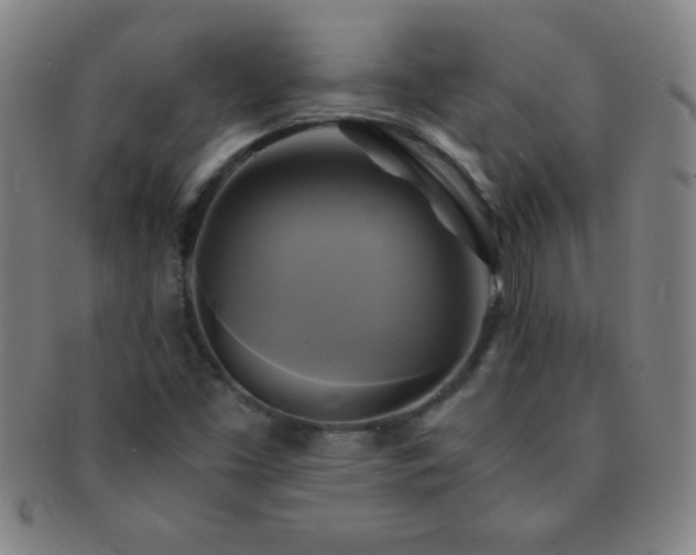 X0000091501453200708231434
