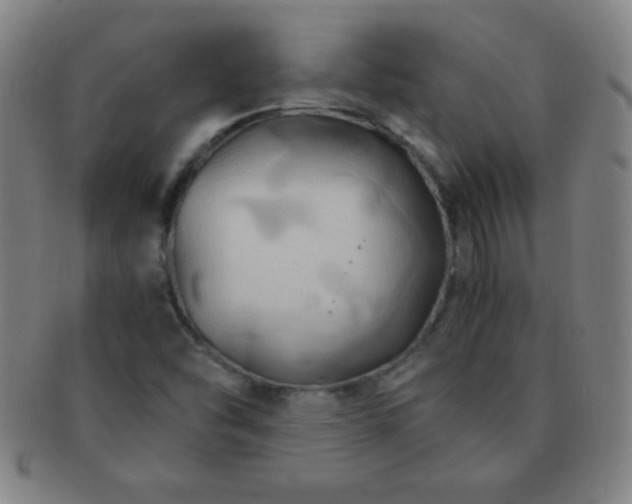 X0000091501454200708231434