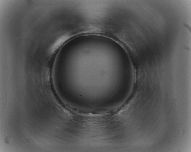 X0000091501455200708231434
