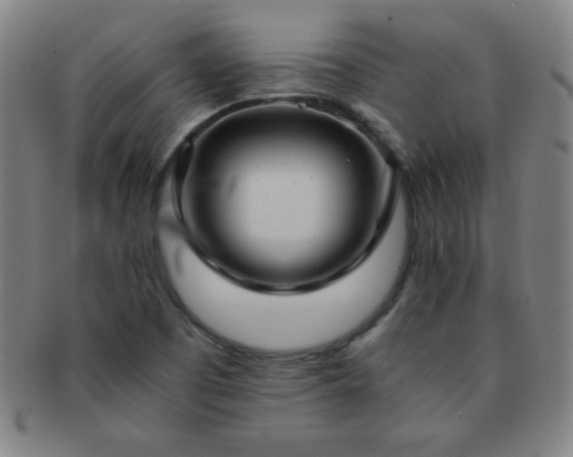 X0000091501457200708231434