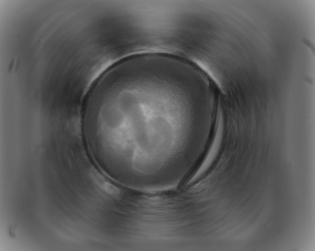 X0000091501460200708231434