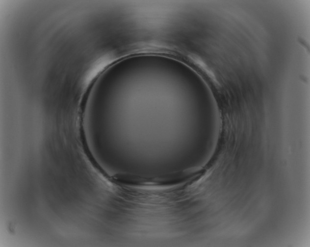 X0000091501463200708231434