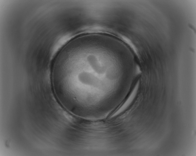 X0000091501464200708231434