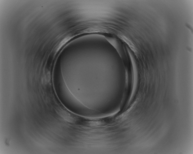 X0000091501465200708231434