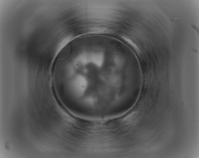 X0000091501467200708231434