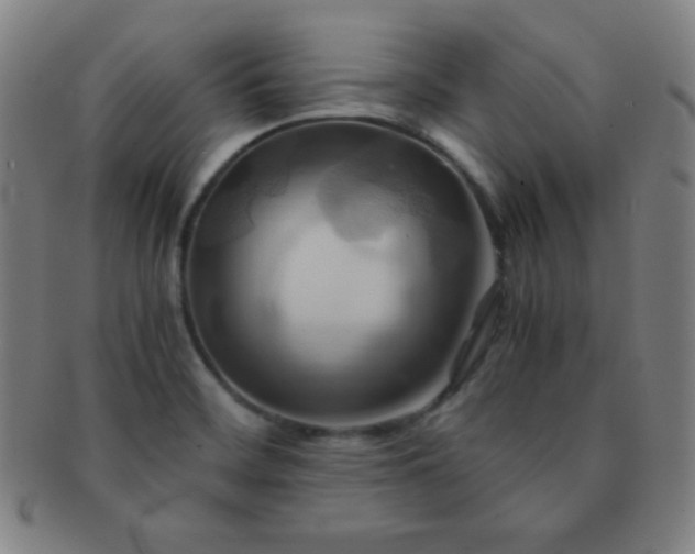 X0000091501468200708231434