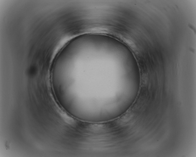 X0000091501470200708231434
