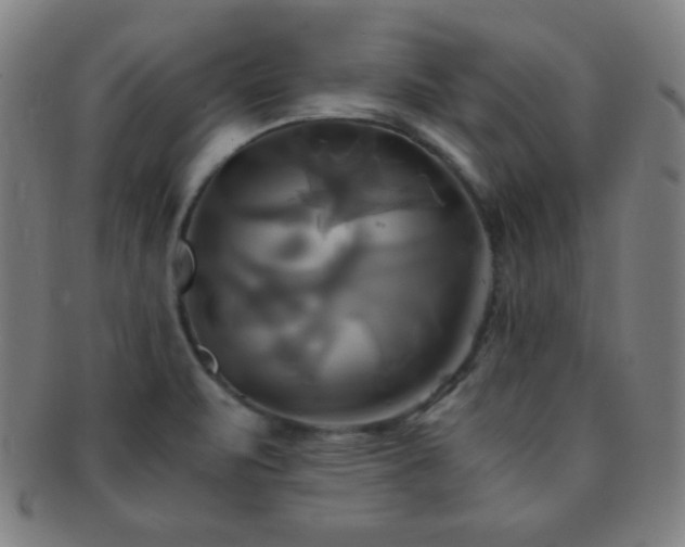 X0000091501471200708231434