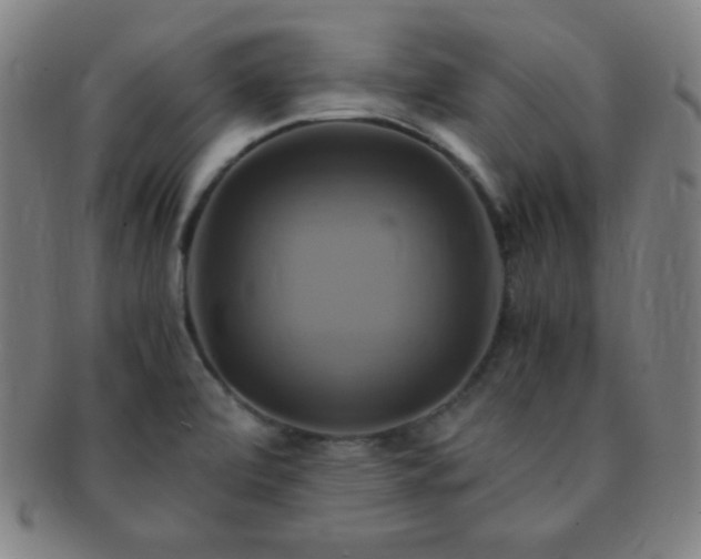 X0000091501472200708231434