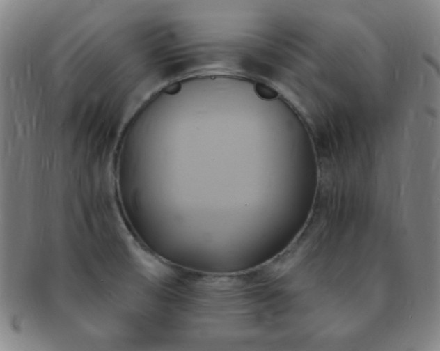 X0000091501474200708231434