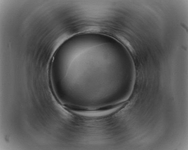 X0000091501475200708231434
