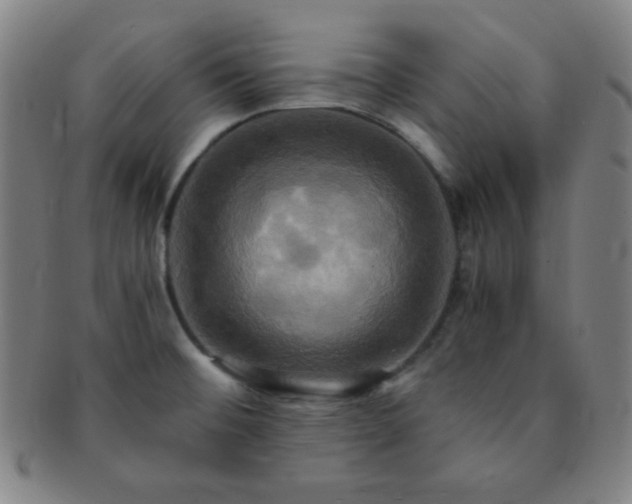 X0000091501476200708231434