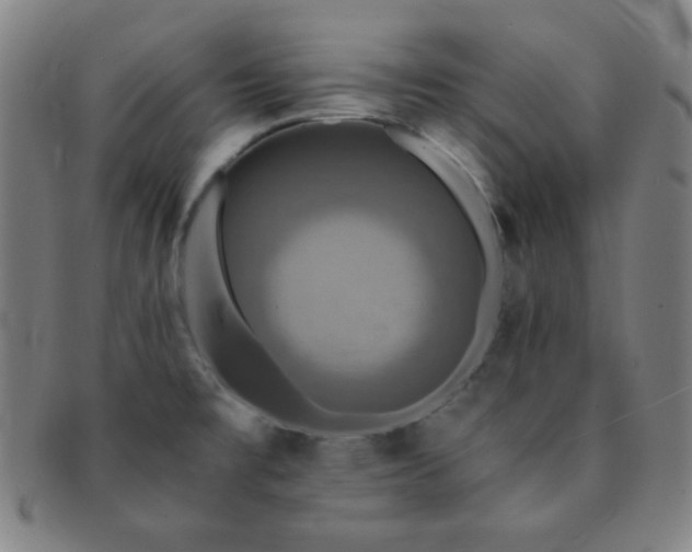 X0000091501477200708231434