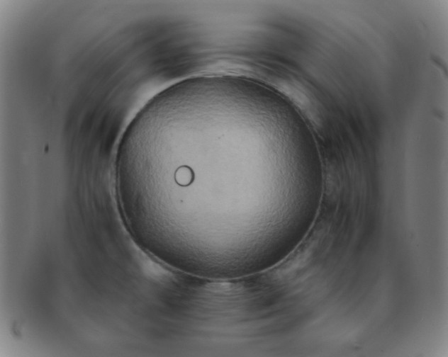 X0000091501478200708231434