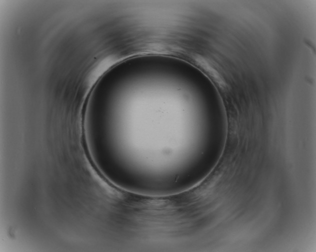 X0000091501479200708231434