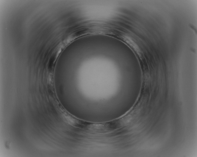 X0000091501481200708231434