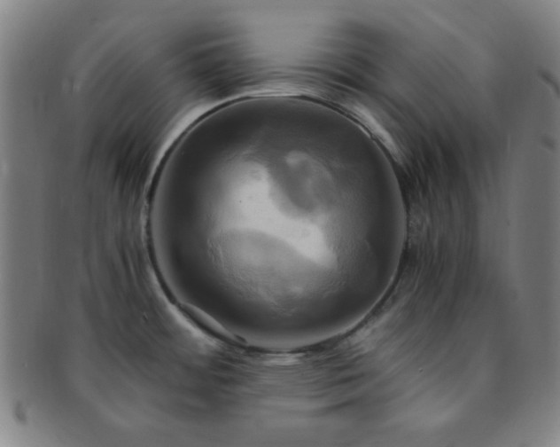 X0000091501484200708231433